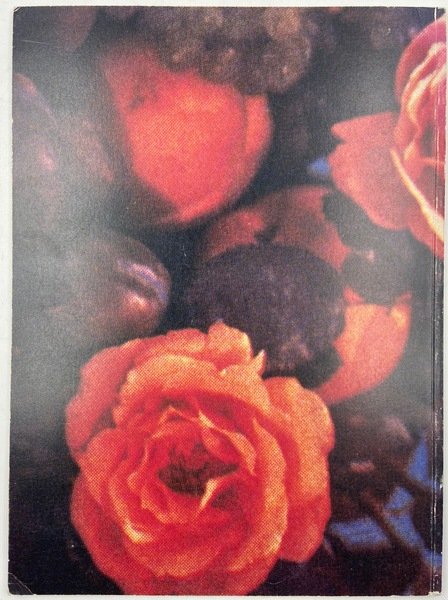 [RICHARD PRINCE][untitled]