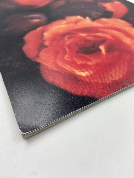 [RICHARD PRINCE][untitled]