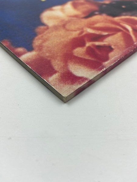 [RICHARD PRINCE][untitled]