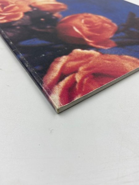 [RICHARD PRINCE][untitled]