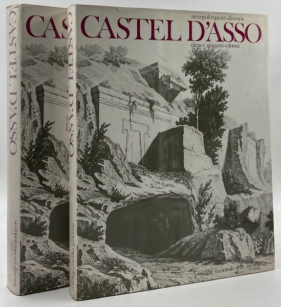 NECROPOLI RUPESTRI D'ETRURIA: CASTEL D'ASSO. Voume I: Testo. Volume II: …