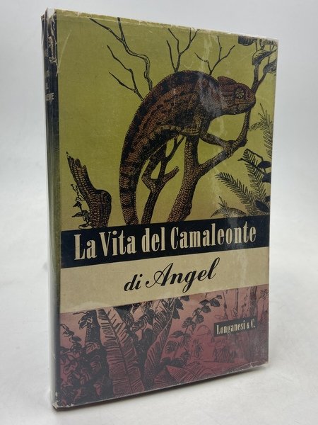 La vita del camaleonte e di altre lucertole.