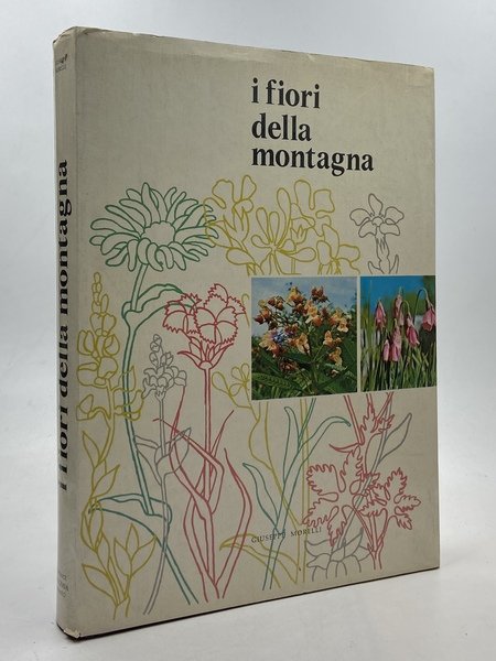 I fiori della montagna. Iconografia fotografica di Giuseppe Morelli.