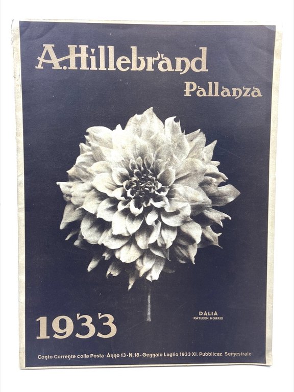 A. HILLEBRAND PALLANZA 1933. Catalogo generale n. 13 Primavera 1933.