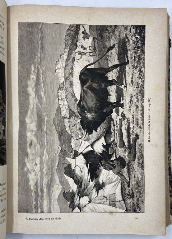 ALLA TERRA DEI GALLA. NARRAZIONE DELLA SPEDIZIONE BIANCHI IN AFRICA …