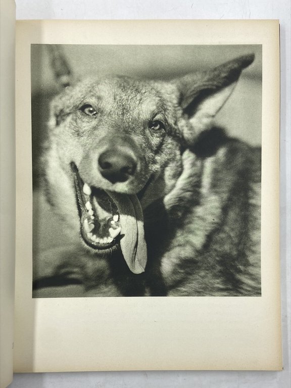 CENTO ISTANTANEE. IMMAGINI DI VITTORIO ZUMAGLINO TESTI DI MARZIANO BERNARDI.