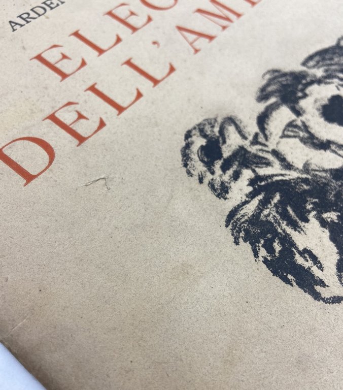 ELEGIA DELL’AMBRA.