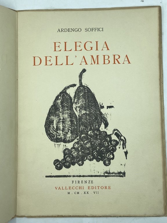 ELEGIA DELL’AMBRA.