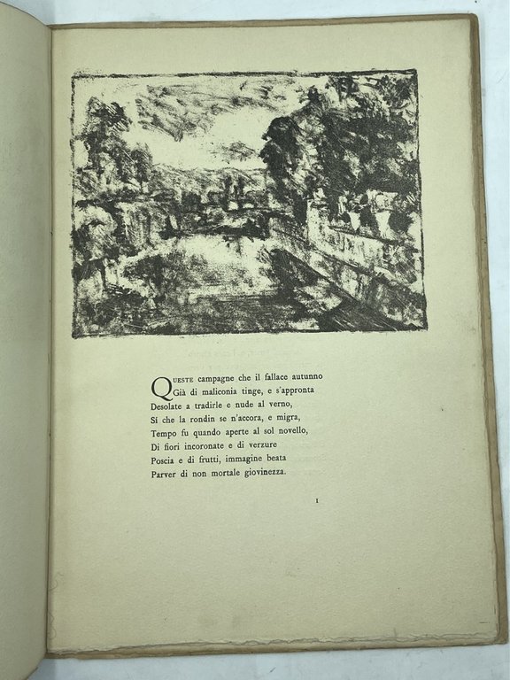 ELEGIA DELL’AMBRA.