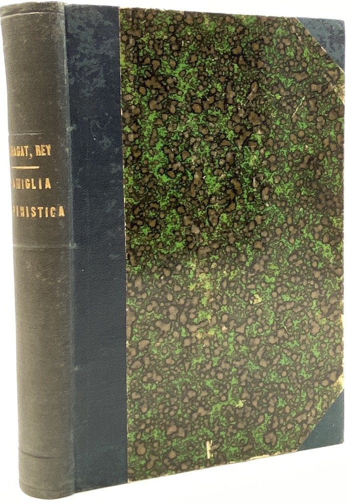 FAMIGLIA ALPINISTICA. TIPI E PAESAGGI.