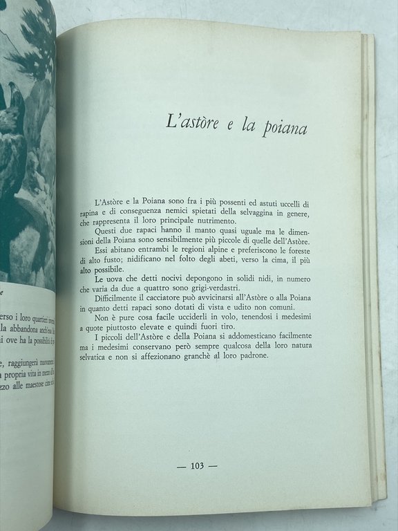 Fauna e caccia in Valle d'Aosta, | Immagine Gallery 5