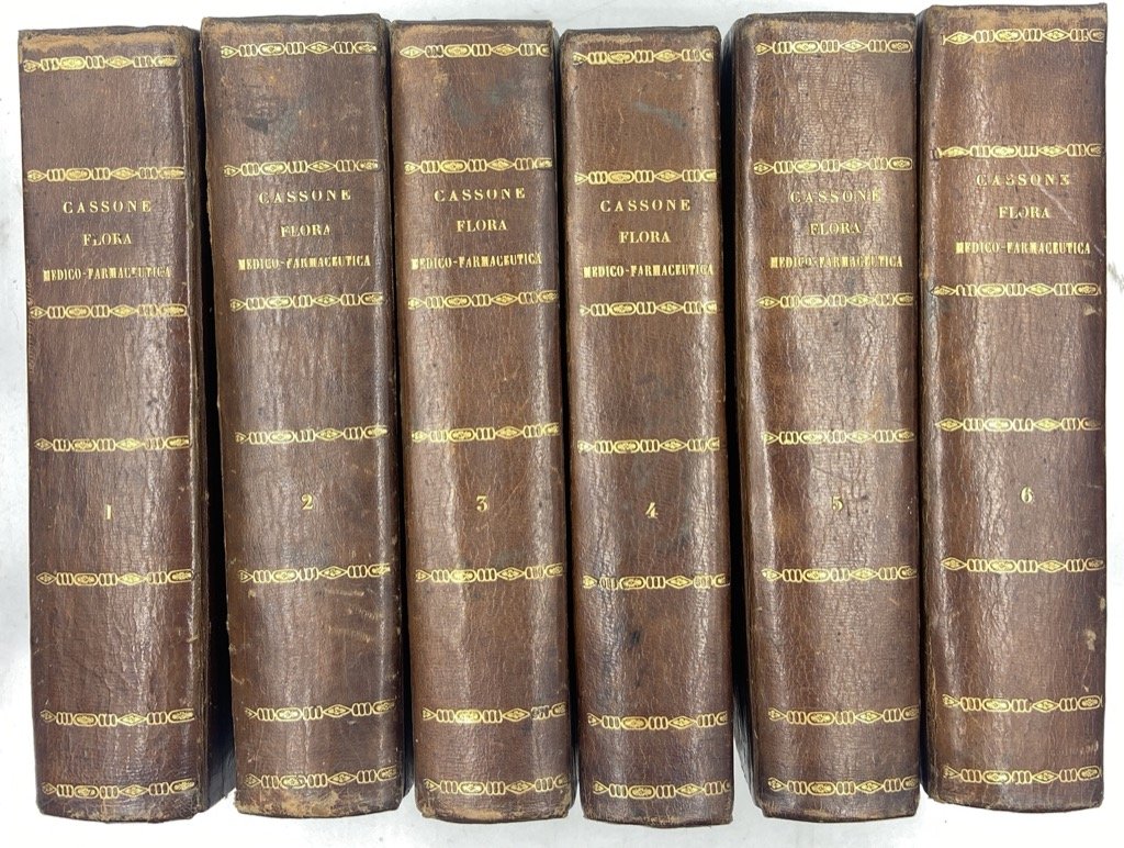 FLORA MEDICO-FARMACEUTICA COMPILATA DAL DOTTORE IN MEDICINA E CHIRURGIA FELICE …