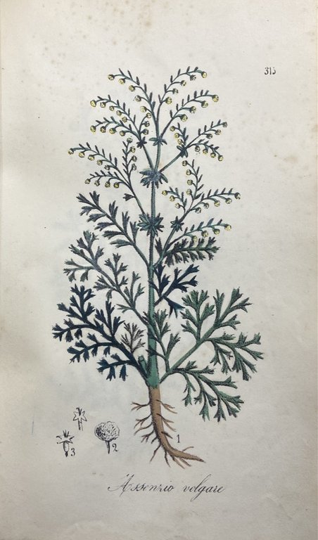 FLORA MEDICO-FARMACEUTICA COMPILATA DAL DOTTORE IN MEDICINA E CHIRURGIA FELICE …