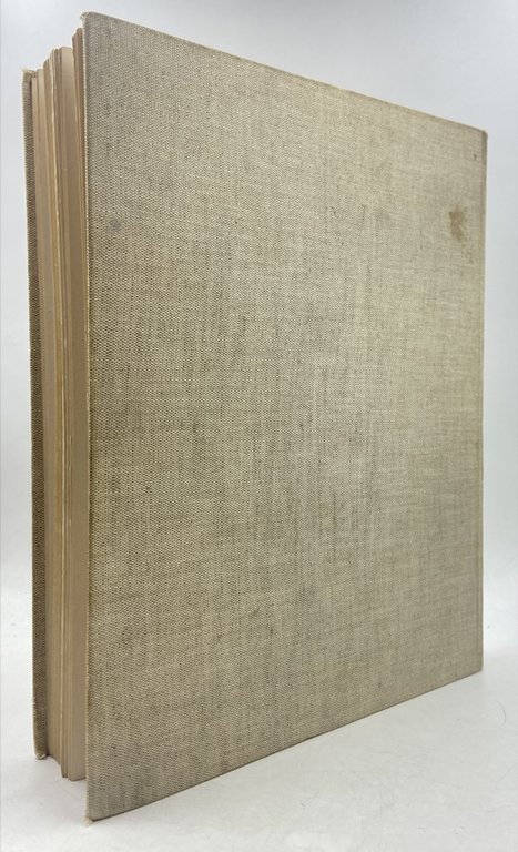 FRANCESCO PAOLO MICHETTI. | Immagine Gallery 2