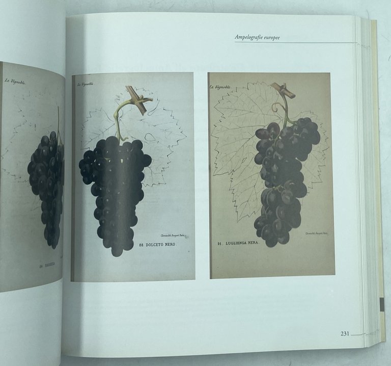 GIUSEPPE FALCHETTI UNA VITA PER LA PITTURA 1843-1918. | Immagine Gallery 7