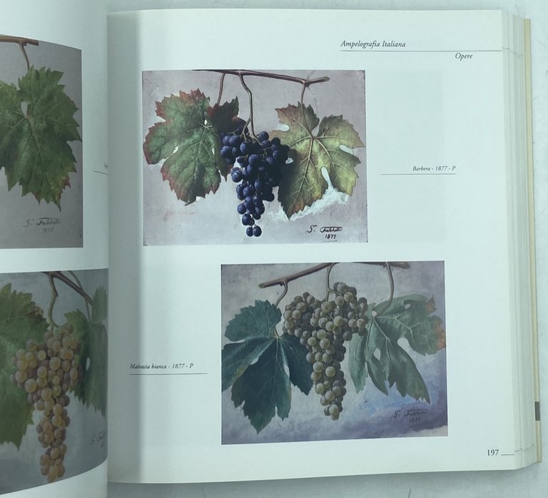 GIUSEPPE FALCHETTI UNA VITA PER LA PITTURA 1843-1918. | Immagine Gallery 8