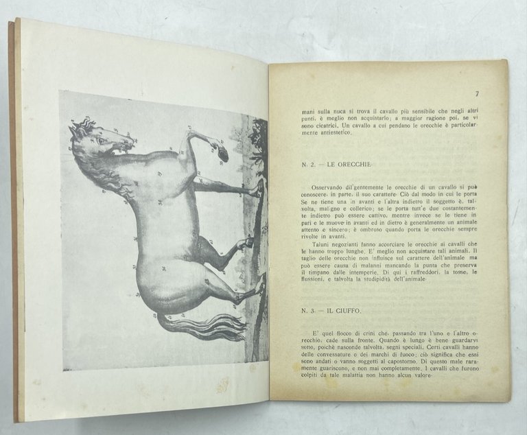 Guida pratica per i compratori di cavalli e le astuzie … | Immagine Gallery 2