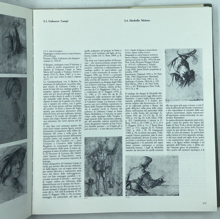 I CAMPI. CULTURA ARTISTICA CREMONESE DEL CINQUECENTO. | Immagine Gallery 6