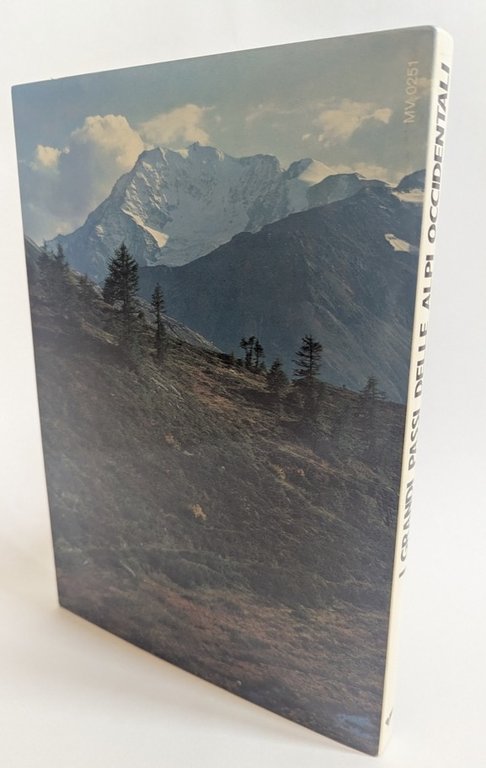 i grandi PASSI delle ALPI OCCIDENTALI | Immagine Gallery 2