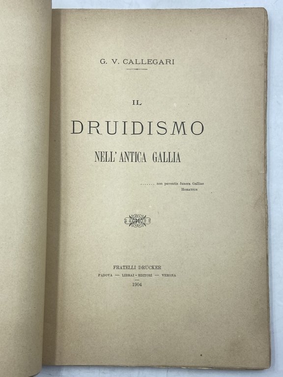 IL DRUIDISMO NELL’ANTICA GALLIA. | Immagine Gallery 3