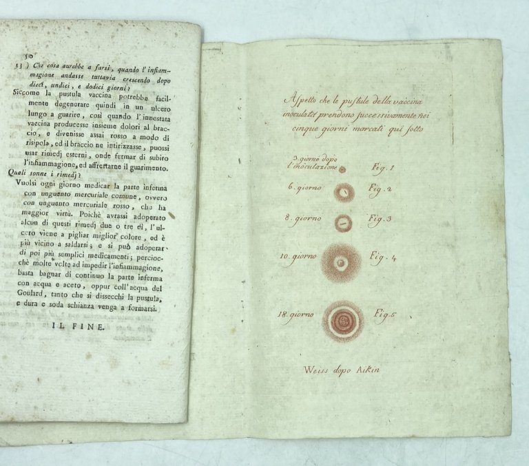 ISTRUZIONE AL POPOLO SULLA VACCINA. | Immagine Gallery 2