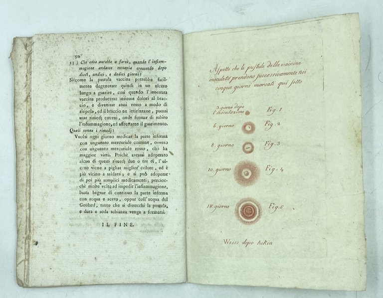 ISTRUZIONE AL POPOLO SULLA VACCINA. | Immagine Gallery 6