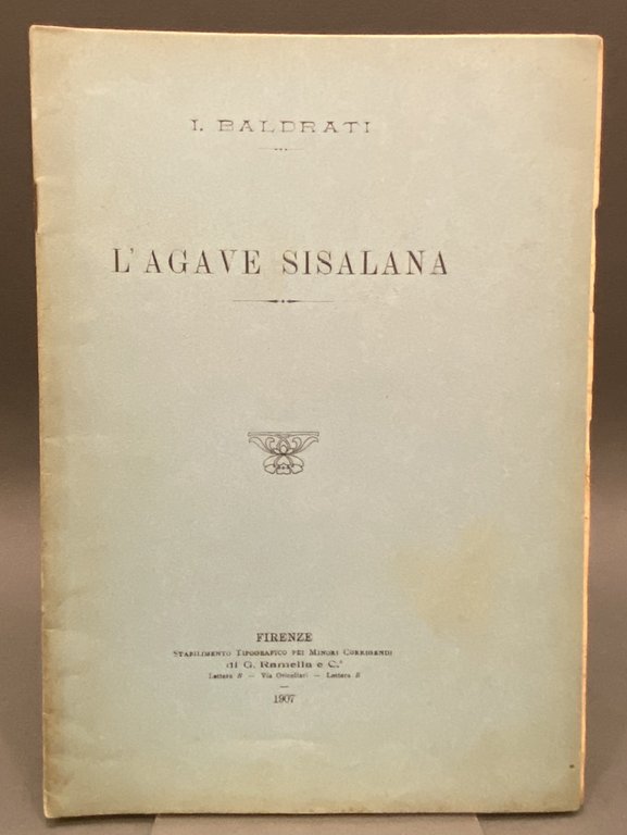 L’AGAVE SISALANA.