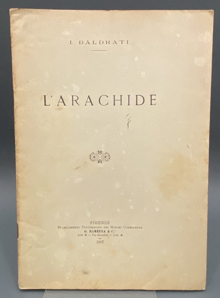 L’ARACHIDE.