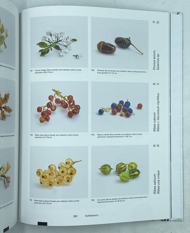 L’ARCA DI VETRO. LA COLLEZIONE DI ANIMALI DI PIERRE ROSENBERG. | Immagine Gallery 7