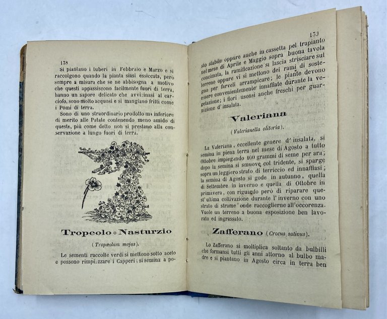 L’ORTO DI FAMIGLIA OSSIA LA COLTIVAZIONE PRATICA DEGLI ORTAGGI E …