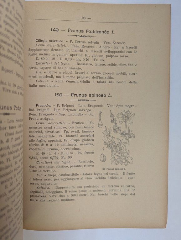 Le piante a fusto legnoso Indigene o naturalizzate nel Piemonte … | Immagine Gallery 3