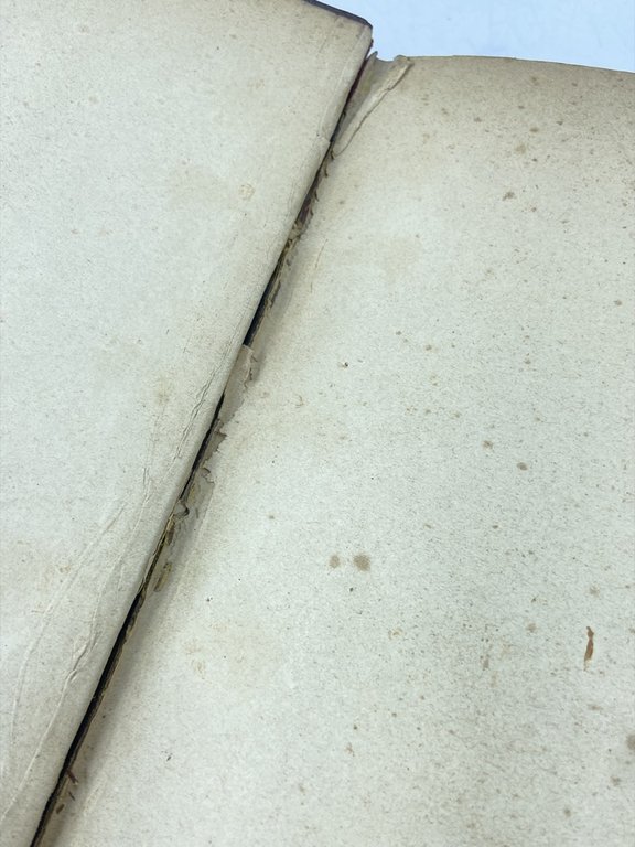LE PIANTE PRATENSI OSSIA LE ERBE DEI PRATI E DEI … | Immagine Gallery 4