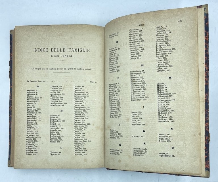 LE PIANTE PRATENSI OSSIA LE ERBE DEI PRATI E DEI … | Immagine Gallery 9