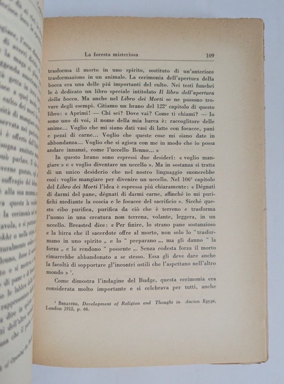 LE RADICI STORICHE DEI RACCONTI DI FATE | Immagine Gallery 4