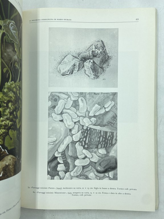 MARIO STURANI 1906 - 1978.