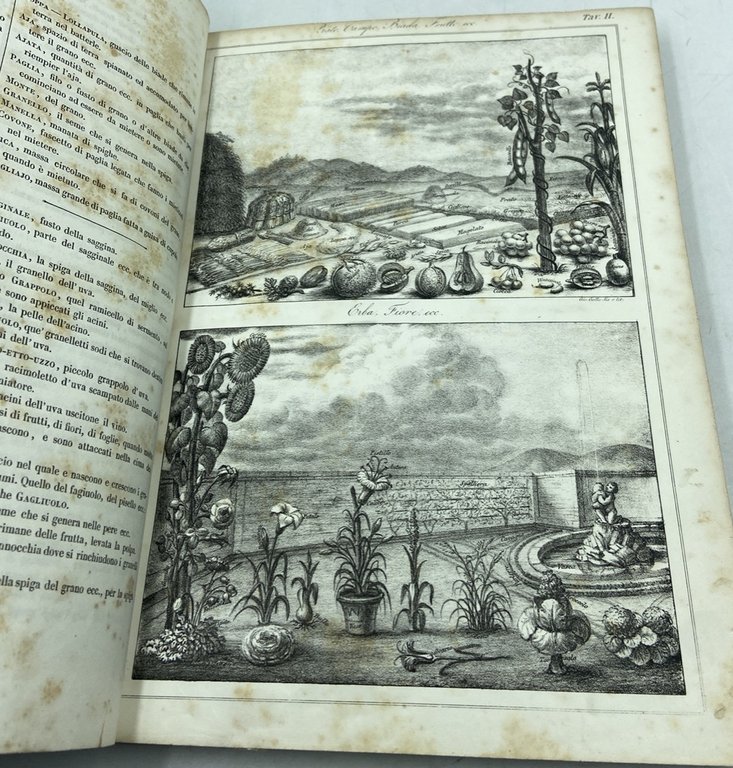 METODO PRATICO E PROGRESSIVO PER L'INSEGNAMENTO DELLA LINGUA ITALIANA applicabile …