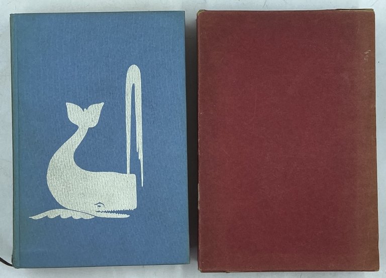 MOBY DICK O LA BALENA DI HERMAN MELVILLE. TRADUZIONE DI … | Immagine Gallery 3