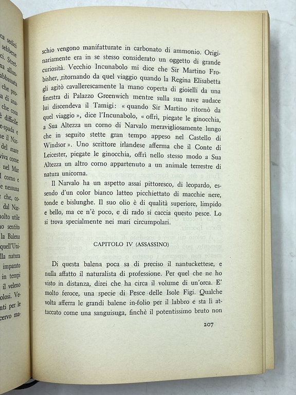 MOBY DICK O LA BALENA DI HERMAN MELVILLE. TRADUZIONE DI … | Immagine Gallery 7