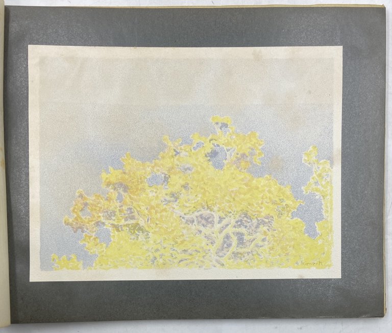 NOVISSIMA 1902. Albo Annuale d'Arti e Lettere. Anno II. | Immagine Gallery 3