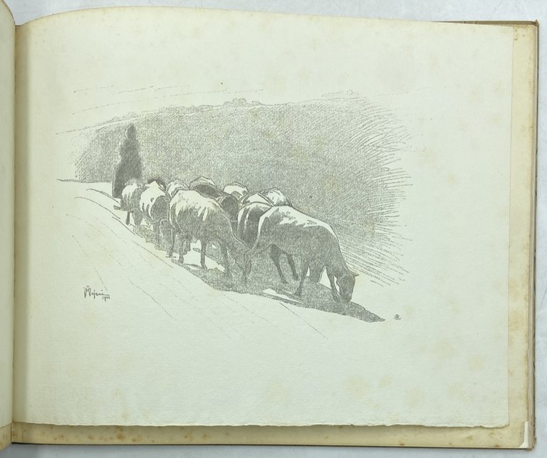 NOVISSIMA 1902. Albo Annuale d'Arti e Lettere. Anno II. | Immagine Gallery 5