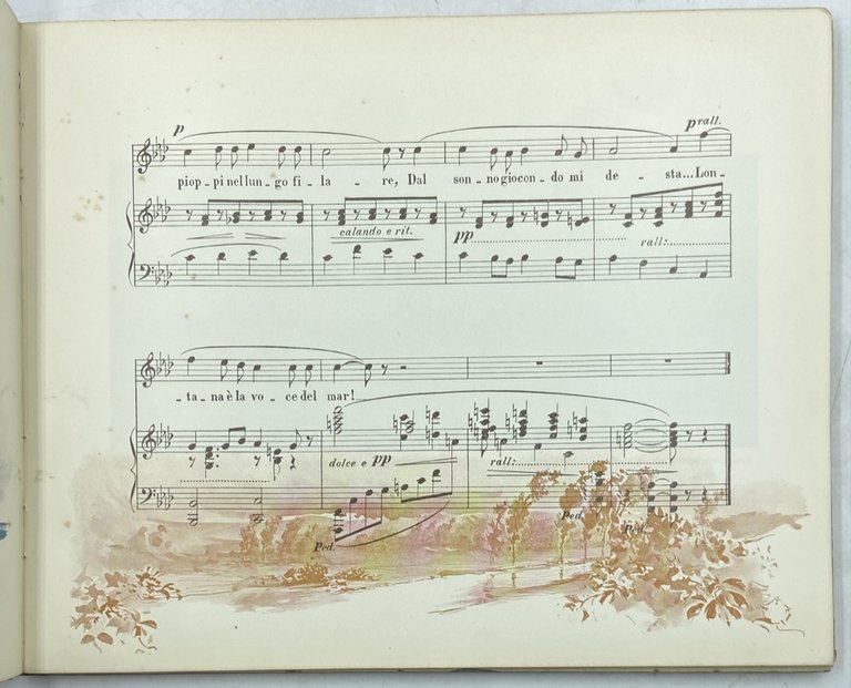 NOVISSIMA 1902. Albo Annuale d'Arti e Lettere. Anno II. | Immagine Gallery 8