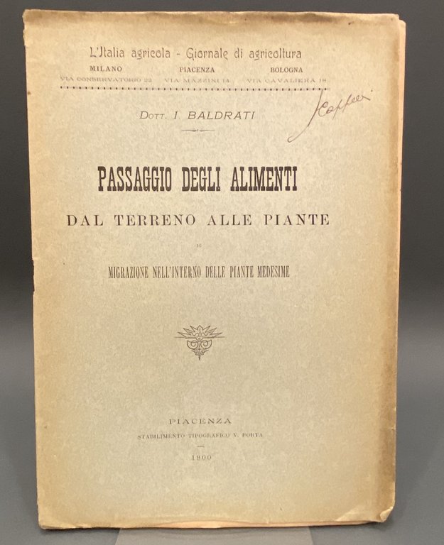 PASSAGGIO DEGLI ALIMENTI DAL TERRENO ALLE PIANTE E MIGRAZIONE NELL’INTERNO DELLE PIANTE MEDESIME.