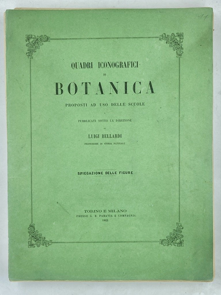 QUADRI ICONOGRAFICI DI BOTANICA PROPOSTI AD USO DELLE SCUOLE PUBBLICATI …