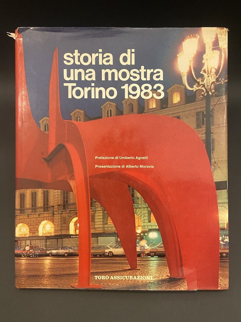 Storia di una mostra Torino 1983.