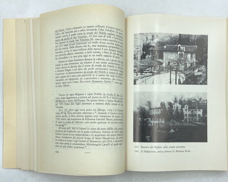 VILLE E VIGNE DELLA COLLINA TORINESE. PERSONAGGI E STORIA DEL …