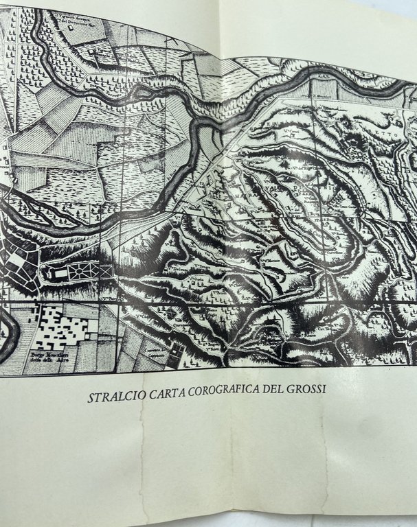 VILLE E VIGNE DELLA COLLINA TORINESE. PERSONAGGI E STORIA DEL …
