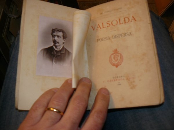 Valsolda. Poesia dispersa. Col ritratto dell'autore in fototipia.