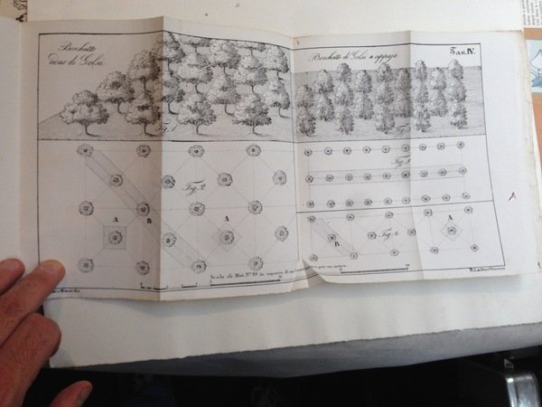 Manuale pratico per coltivare il gelso e per formarne siepi …