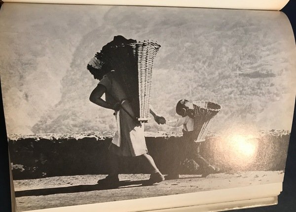 Montagna oggi e domani | Immagine Gallery 1