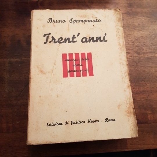 Trent'anni. Romanzo delle nostre generazioni.